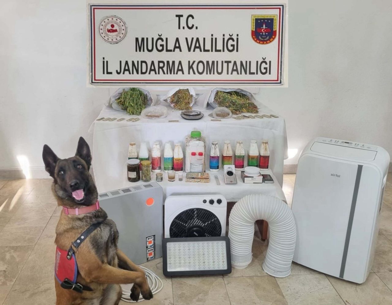 MUĞLA’nın Ula ilçesinde jandarmanın düzenlediği operasyonda, 2 kilo 895 gram